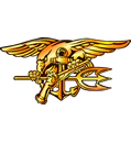 Navy SEALs